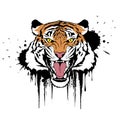 Roaring tiger. Claws scratches. Colorful vector illustration on white background. T-shirt design Royalty Free Stock Photo