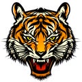 Roaring tiger head Royalty Free Stock Photo