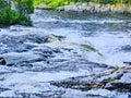 Roaring water cascade on a river bend Royalty Free Stock Photo