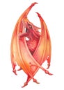 Roaring watercolor dragon with closed wings in red colors.