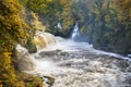 Roaring Autumn Waterfalls