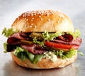 Roast beef or pastrami roll with salad trimmings Royalty Free Stock Photo