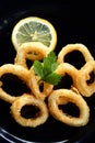 Roast calamary Royalty Free Stock Photo