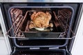 Roast Chicken in the Oven Royalty Free Stock Photo