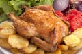 Roast chicken Royalty Free Stock Photo