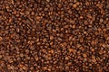 Roasted coffee beans Royalty Free Stock Photo