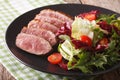 Roast duck breast and fresh mix lettuce close-up. Horizontal Royalty Free Stock Photo