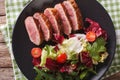 Roast duck breast and fresh mix lettuce close-up. horizontal top Royalty Free Stock Photo