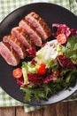 Roast duck breast and fresh mix lettuce close-up. vertical top v Royalty Free Stock Photo