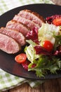 Roast duck breast with fresh mixed salad close-up. vertical Royalty Free Stock Photo