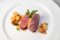 Roast duck breast with potato dumplings Royalty Free Stock Photo