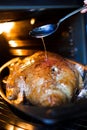 Roast duck in the oven Royalty Free Stock Photo