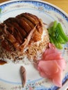roast duck over rice
