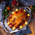 Roast duck with potato dumplings and plums Royalty Free Stock Photo