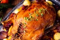 Roast duck with potato dumplings and plums Royalty Free Stock Photo