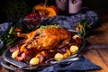 Roast duck with potato dumplings and plums Royalty Free Stock Photo