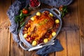 Roast duck with potato dumplings and plums Royalty Free Stock Photo