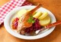 Roast duck with potato dumplings and red cabbage Royalty Free Stock Photo