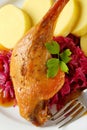 Roast duck with potato dumplings and red cabbage Royalty Free Stock Photo