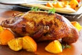Roast duck with pumpkin Royalty Free Stock Photo