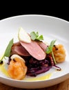 Roast duck, red cabbage and dry fruits Royalty Free Stock Photo