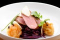 Roast duck, red cabbage and dry fruits Royalty Free Stock Photo