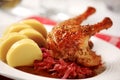 Roast Duck with Red Cabbage and Potato Dumplings Royalty Free Stock Photo