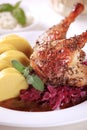 Roast Duck with Red Cabbage and Potato Dumplings Royalty Free Stock Photo