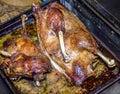 Roast goose in a roasting pan Royalty Free Stock Photo