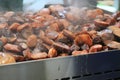 Roast meat on plate with sausages and steaks Royalty Free Stock Photo