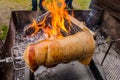 Roast pig on a spit Royalty Free Stock Photo