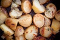Roast potatoes with thyme Royalty Free Stock Photo