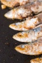 Roast sardines