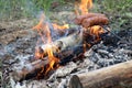 Roast sausage over the fire. Sliced sausages. Sausage impaled on a stick. Fast dinner camping