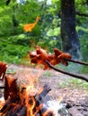 Roast sausages over a fire.