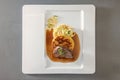 Roast venison meat, fried bread dumpling and ro cabbage vegetable with brown sauce and thyme garnish on a white plate, main course Royalty Free Stock Photo