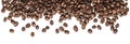 Roasted arabica coffee beans isolated on white background. Group of brown grains