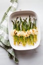 Roasted asparagus with mozzarella cheese and panko hot out of the oven. Royalty Free Stock Photo