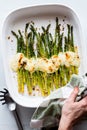 Roasted asparagus topped with mozzarella cheese and panko, hot out of the oven. Royalty Free Stock Photo