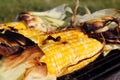 Roasted barbecue corn
