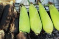 Roasted barbecue corn - BBQ corn Royalty Free Stock Photo