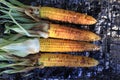 Roasted barbecue corn Royalty Free Stock Photo