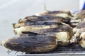 Roasted barbecue corn - grilled corn Royalty Free Stock Photo