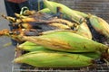 Roasted barbecue corn - grilled corn Royalty Free Stock Photo