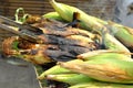 Roasted barbecue corn - grilled corn Royalty Free Stock Photo