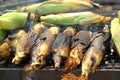 Roasted barbecue corn - grilled corn Royalty Free Stock Photo