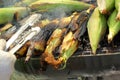 Roasted barbecue corn - grilled corn Royalty Free Stock Photo