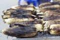 Roasted barbecue corn - grilled corn Royalty Free Stock Photo
