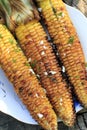 Roasted barbecue corn Royalty Free Stock Photo