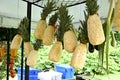 roasted barbecue meat vegetables pineapple party decoration floral bouquet natural garden decorated environment